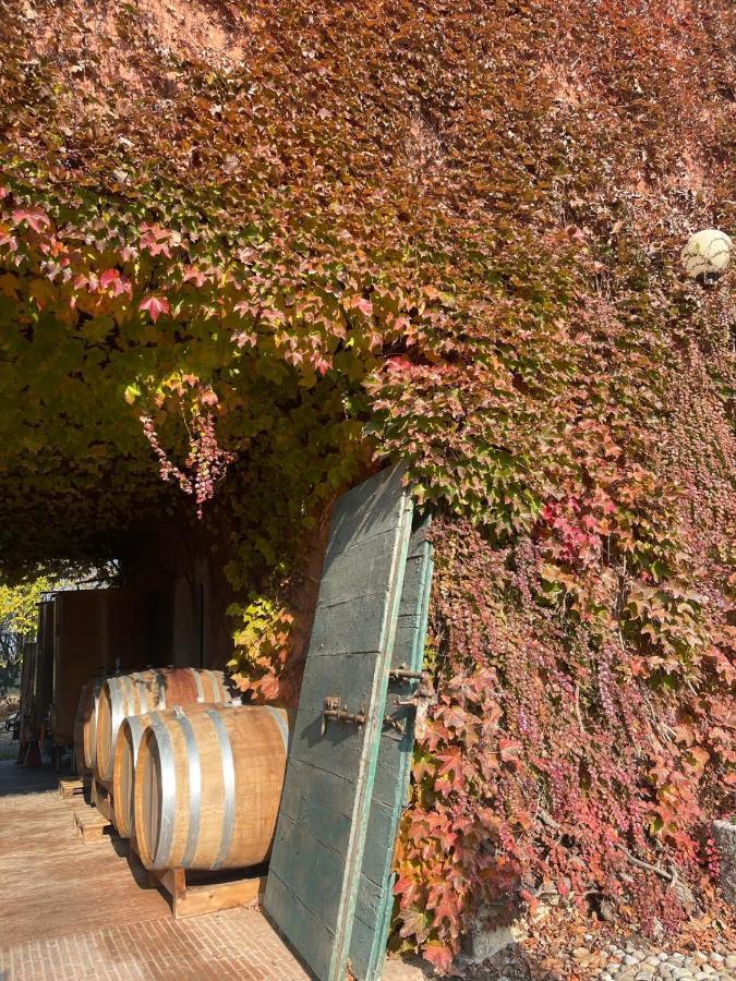 Tenuta Pizzone Wine Resort 리바나짜노 외부 사진